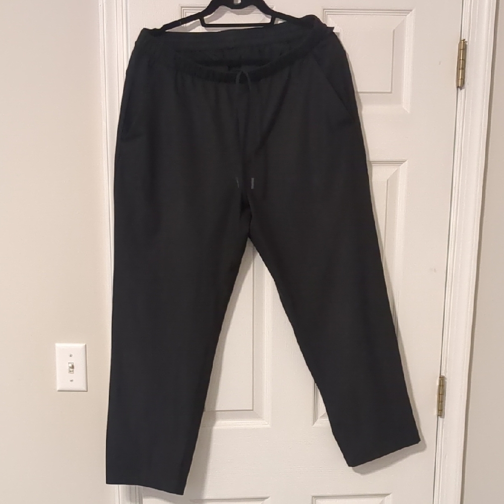 Lululemon ABC Pull-On Pant - Large - 30in Inseam